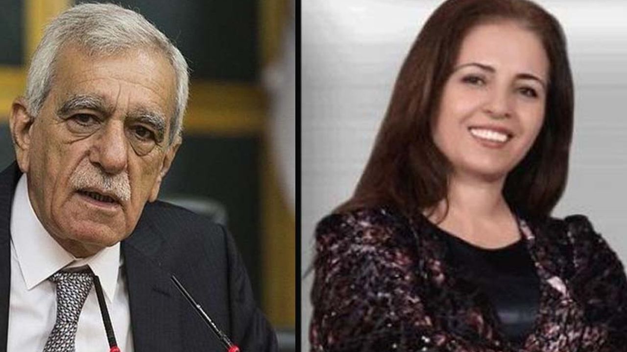 Ahmet Türk ve Necla Yıldırım'ın yerine kayyım atanmasına gerekçe gösterilen davada beraat kararı