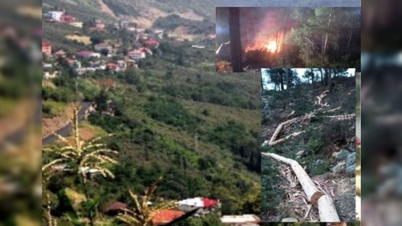 Kırkkavak köyünde mermer ocağı için yol açma çalışmaları ağaçları yakarak ve keserek başladı!