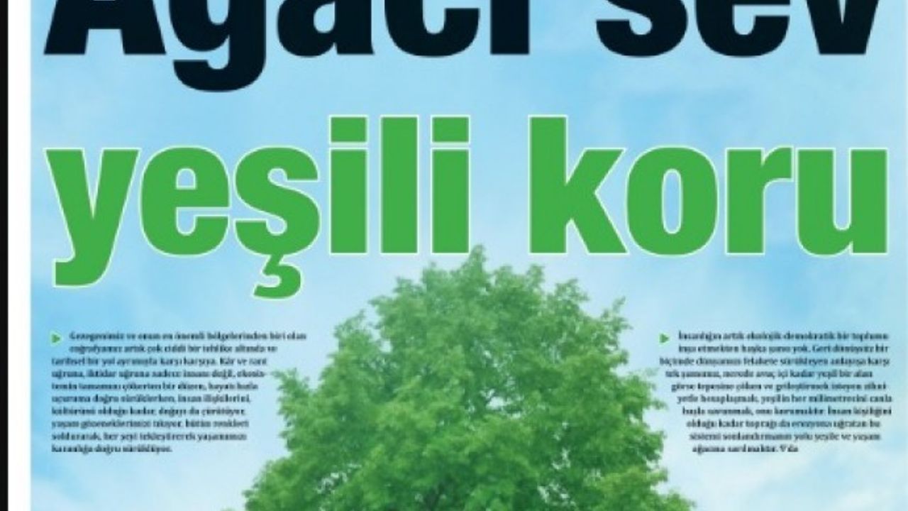 Yeni Yaşam’dan ‘Ağacı sev yeşili koru’ manşeti