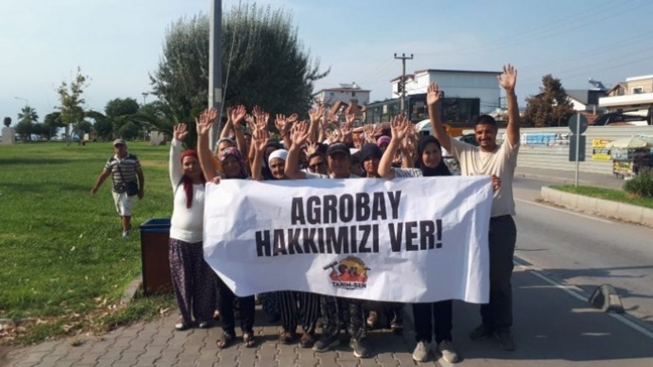 Agrobay Seracılık işçileri: Haklarımızı alana kadar direneceğiz