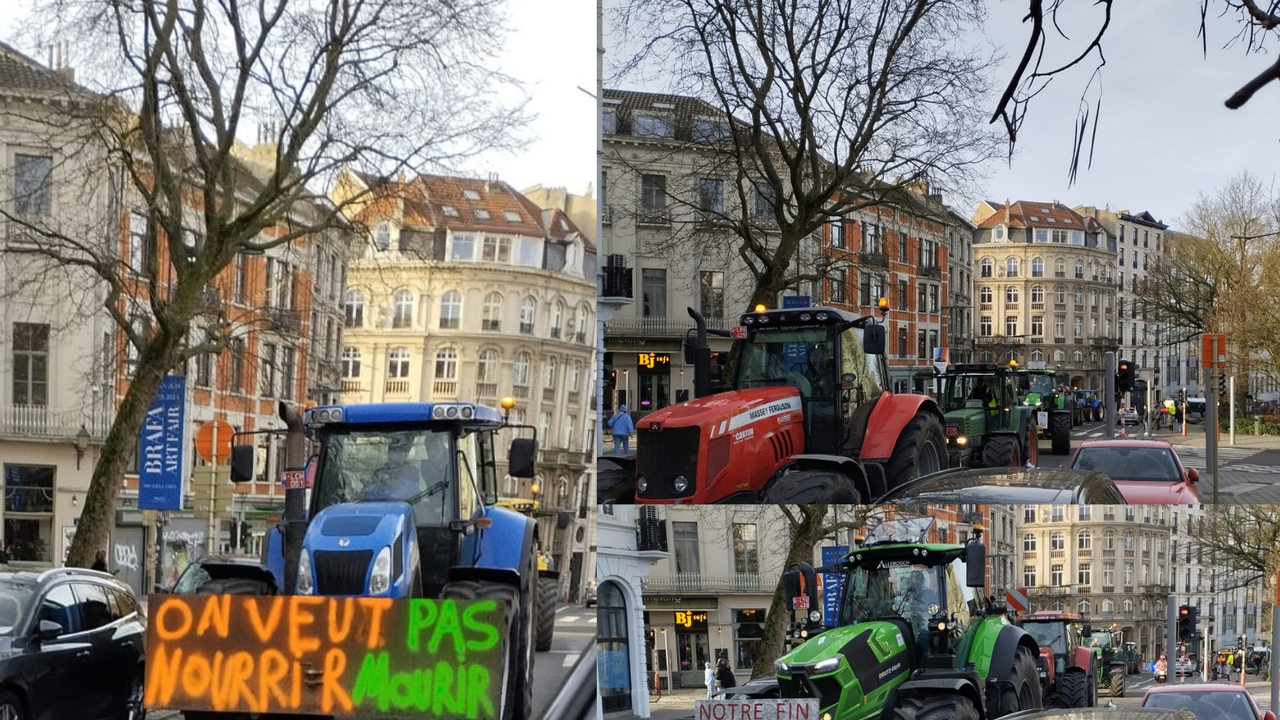 Brüksel'de çiftçiler traktörlerle sokağa döküldü