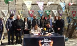 Van’da Newroz ateşi 19 Mart’ta yakılacak