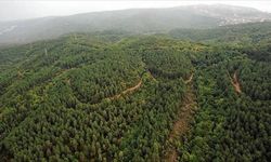 11 ilde bazı alanlar orman sınırları dışına çıkarıldı