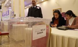 DEM Parti Mardin ve Serhat’ta halk oylaması gerçekleştiriyor