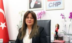 CHP Genel Başkan Koza Yardımcısı istifa etti