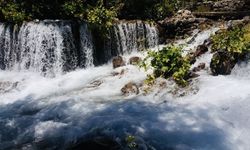 Munzur Gözeleri’nde keşif yapılacak