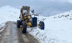 Van’da 158 mahallenin yolu kapandı