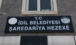 İdil Belediye Eşbaşkanı Kayır ihraç edildi