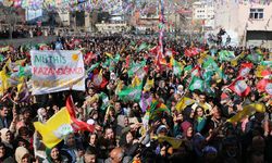 DEM Parti İmralı gündemiyle sahaya çıkıyor