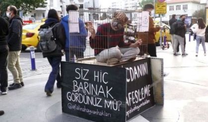 İzmir'de sokak hayvanları için kafesli eylem