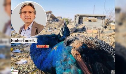 Ender İMREK - Barzani’nin Ankara ziyareti, Şengal’in Tavus kuşu