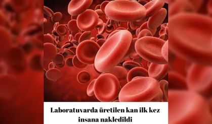 Laboratuvarda üretilen kan ilk kez insana nakledildi