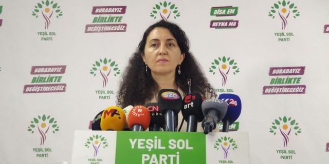 HDP Sözcüsü Günay: Eleştiri-özeleştiriyle büyük kongreye yürüyeceğiz