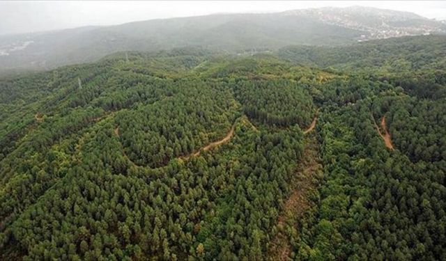 11 ilde bazı alanlar orman sınırları dışına çıkarıldı