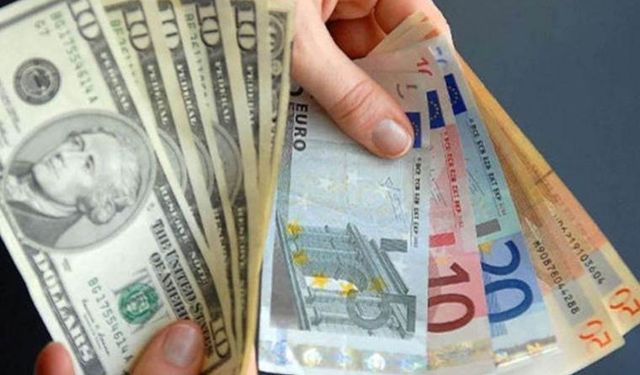 Dolar yükselişte Euro zirve tazeledi...