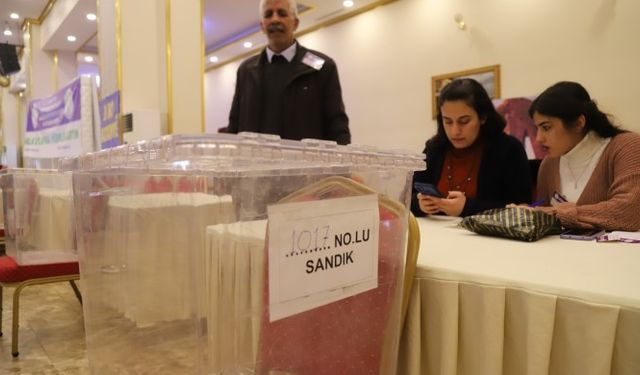 DEM Parti Mardin ve Serhat’ta halk oylaması gerçekleştiriyor
