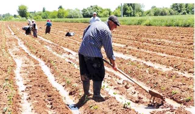 Maliyetler her yıl artıyor. Hep üreticiden gidiyor